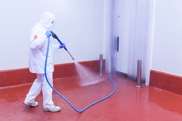 Best Patio and Deck Pressure Washing  in Bridgewater Center, NJ